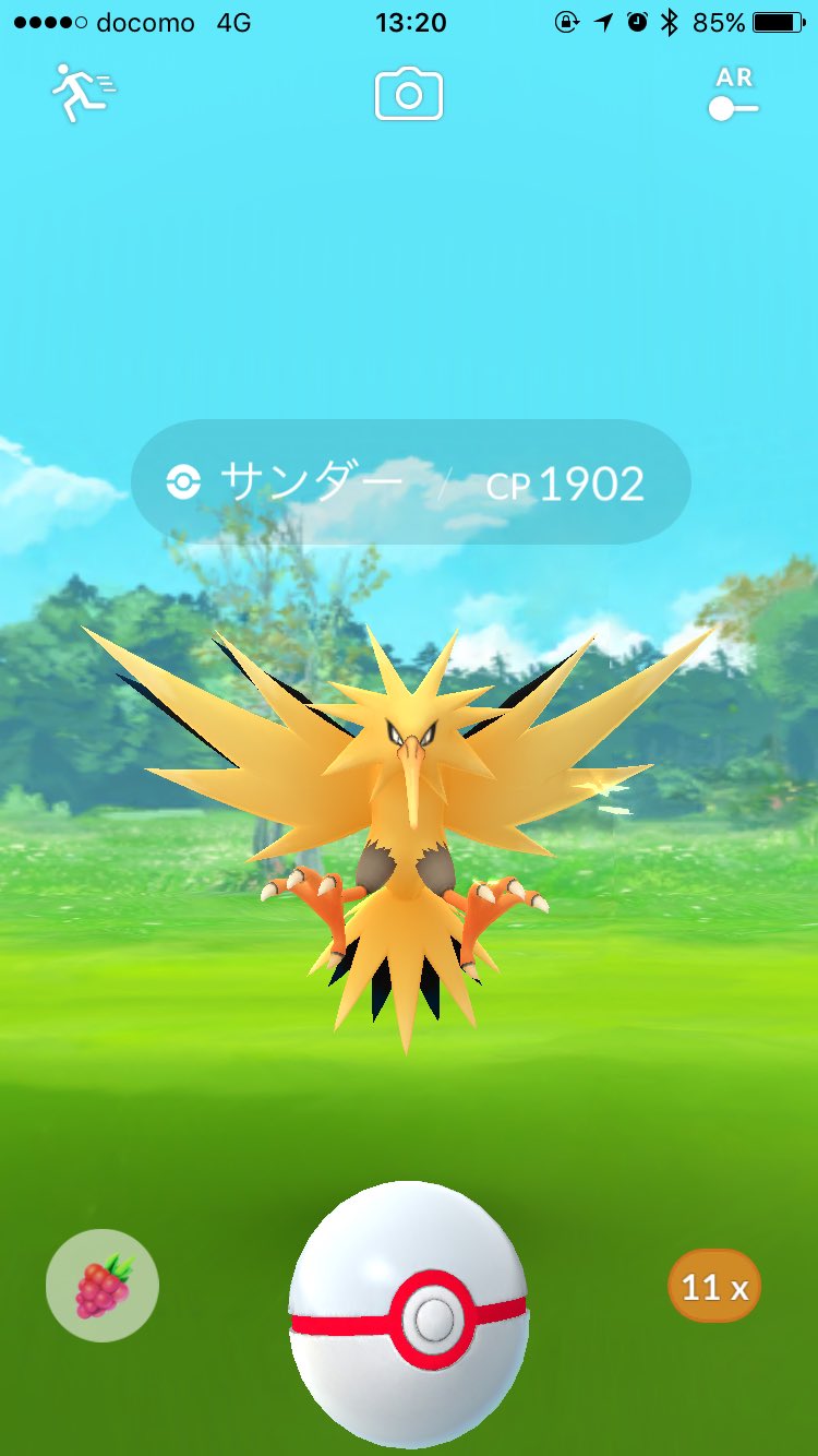 コイキング帽子 Twitter Search Twitter