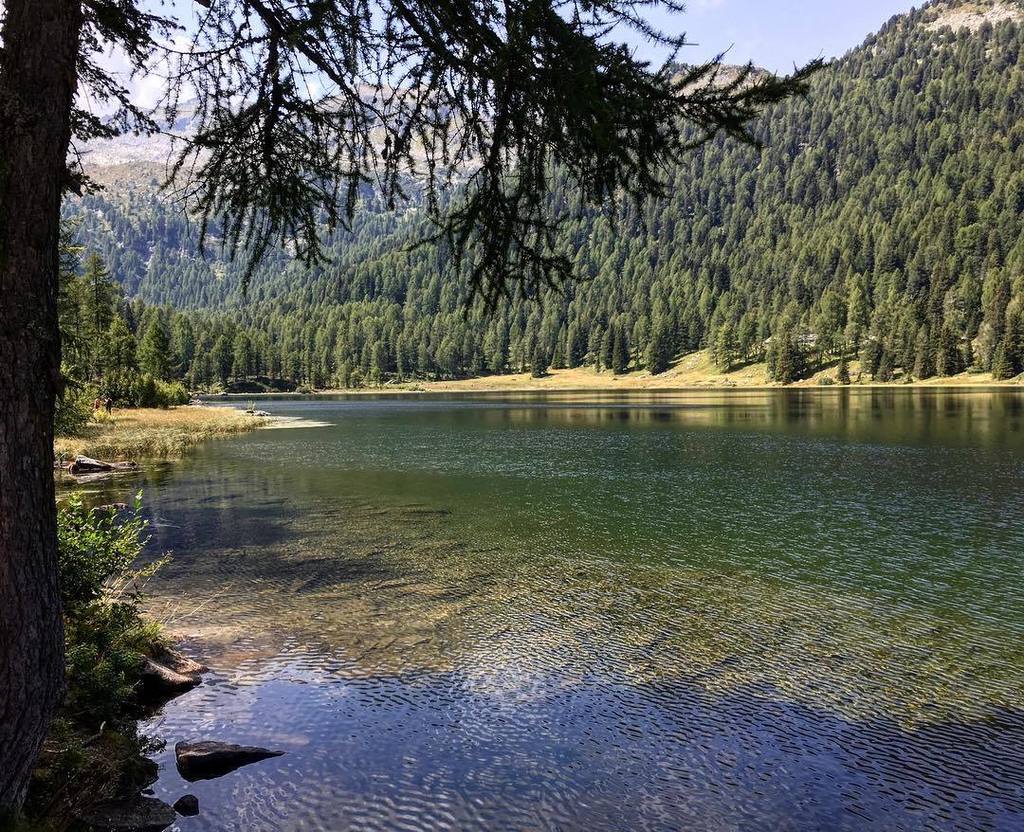 NeverAloneApp's tweet photo. hiking around the lake! #neveraloneapp #hiking #trekking #valdisole #moutains #lake #malghette https://t.co/7TKYbCxnJR