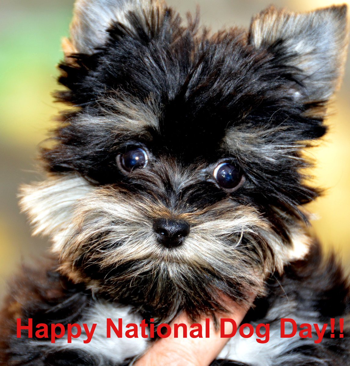 KeraCell MD tweet media