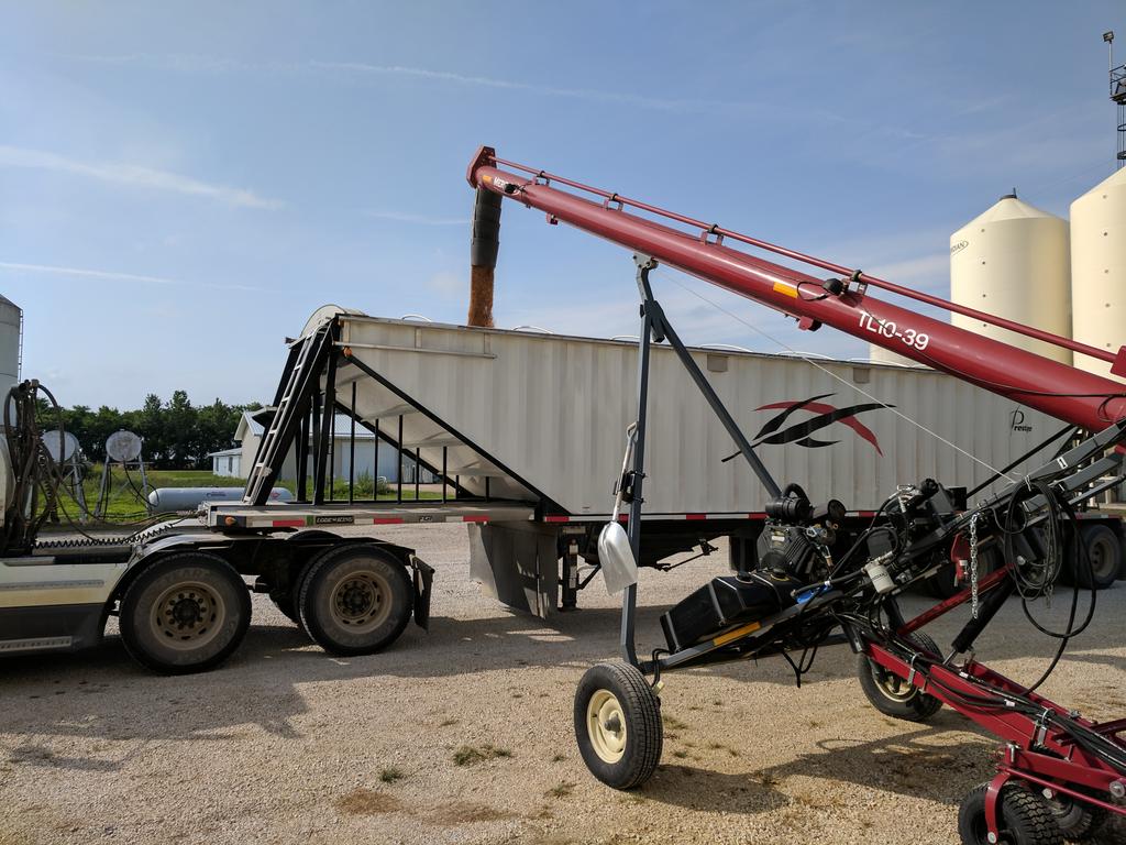 TLCourt's tweet image. First load of #Emerson winter wheat is out the door! Hoping we can empty a few bins this year to make room for harvest.