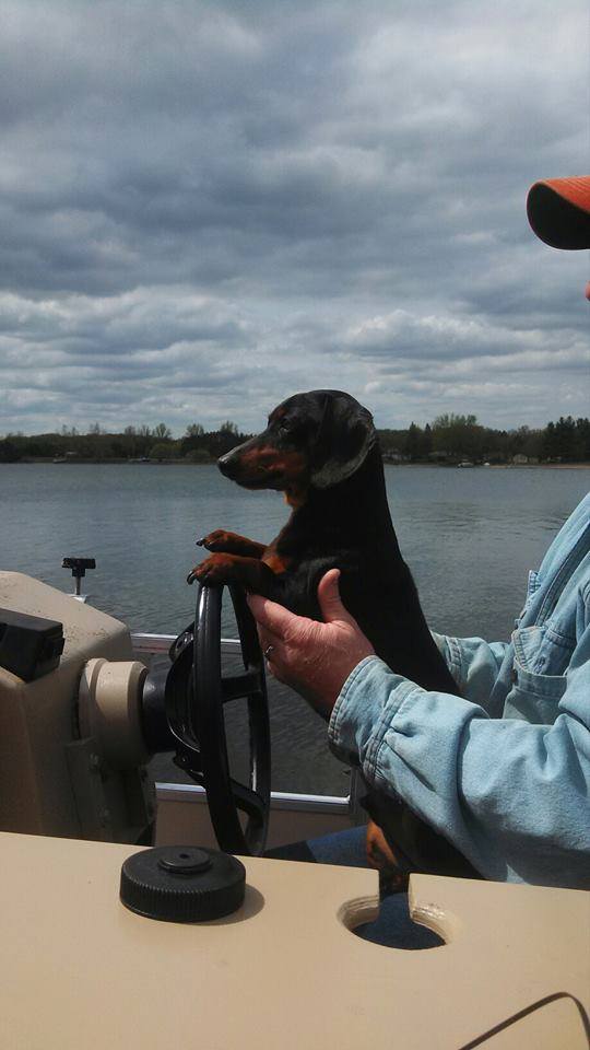 viaggiopontoon's tweet photo. Happy National Dog Day! Send us your favorite picture of your dog! #MistyHarborDogs #MistyLife #MistyHarbor #NationalDogDay https://t.co/5ia8jBLbKa