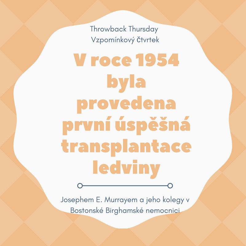 dialyzadoma's tweet photo. 63 let zpět byla provedena první transplantace ledviny! #kidney #ledviny #homehemo #dialyzadoma https://t.co/3I051kstPF