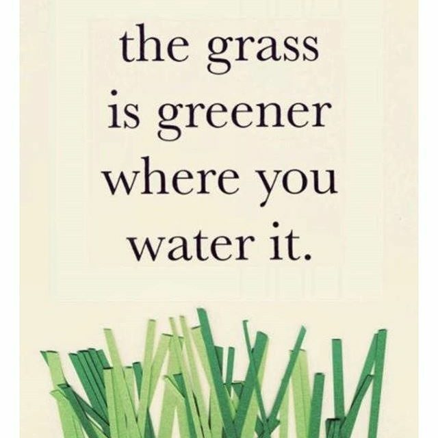 changingtidesCA's tweet photo. #Repost @_ownselfbetrue_
・・・
💚💚💚 https://t.co/k9UZyRC4UN https://t.co/3YXHDFm6kR