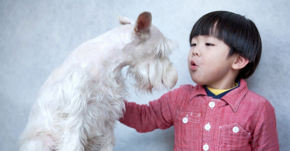 ThePetScopeTV's tweet photo. Why Do Humans Talk to Animals If They Can’t Understand? - https://t.co/KwmyEhDBh8  #pets https://t.co/qEfd327SXJ