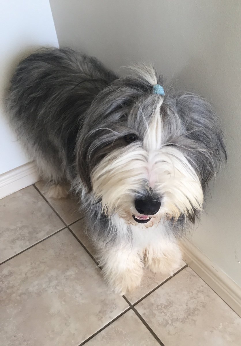 Esmarie Yssel tweet media