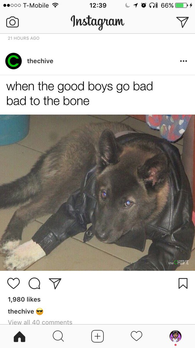 muddyburner's tweet photo. These posts were back to back on my instagram feed @ToughMudder @theCHIVE π #GoodBoyForPresident https://t.co/r1uCFD4HNk