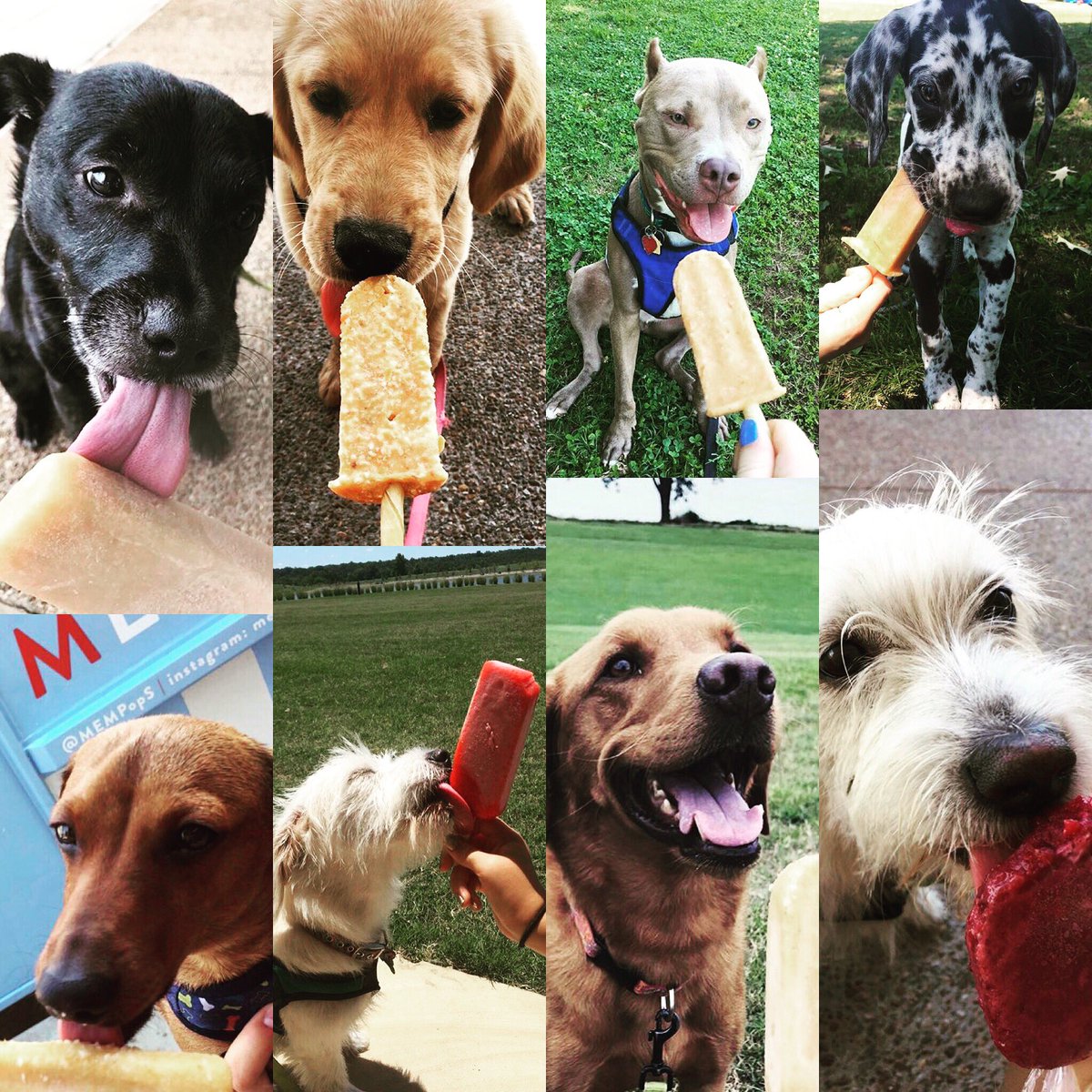 We love to make dog pops for our furry customers. Celebrate man's best friend today on #nationaldogday with a pop made just for them!