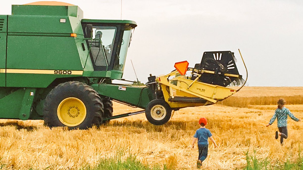 nikkivee2's tweet photo. Best part of harvest. #combinerides #harvest17 #supperinthefield #familyfarm #WestCdnAg https://t.co/AdWsbOeMXY