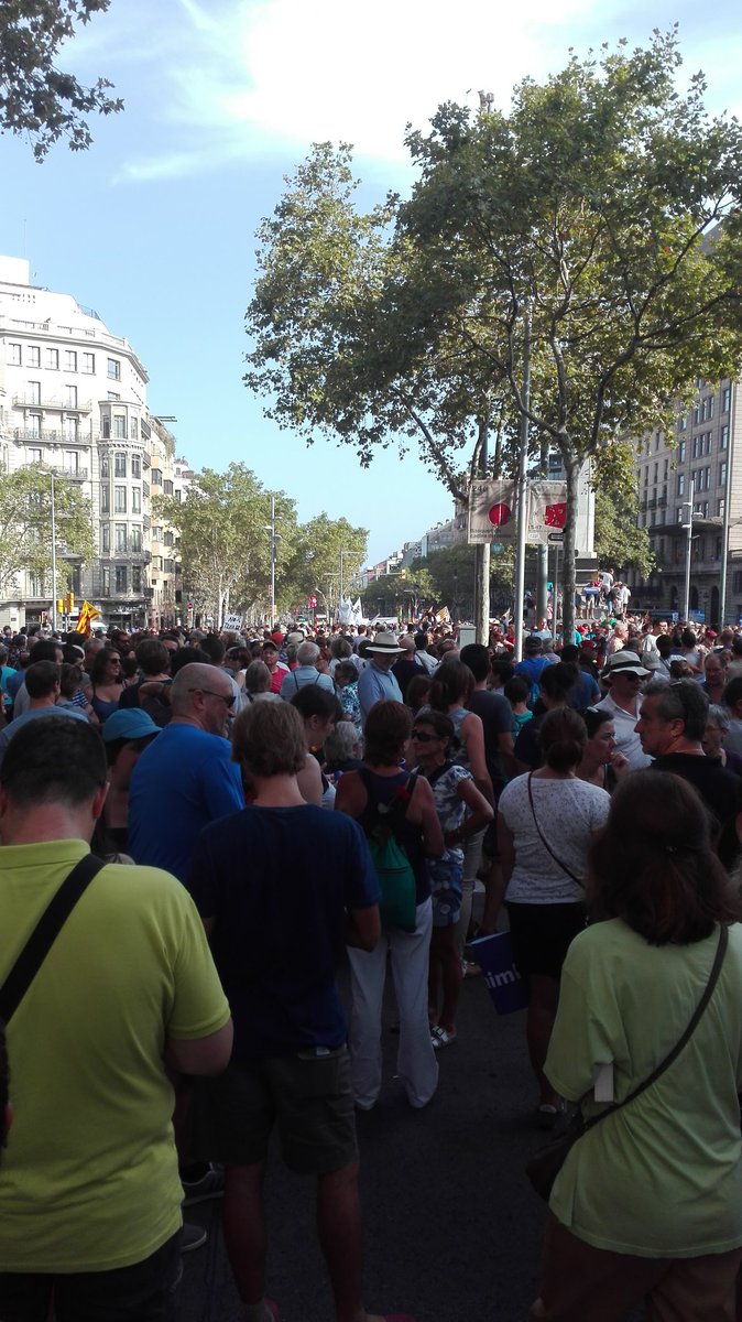 OxfamIntermon's tweet photo. #NoTenimPor #AnemDeBlau por lapaz, la solidaridad y la convivencia https://t.co/6pAEeMN4MV