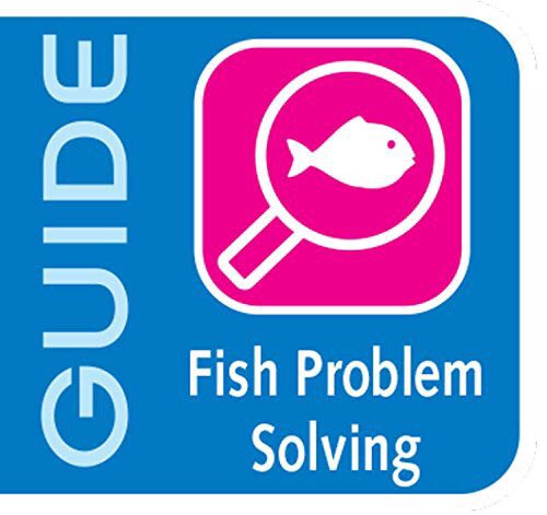 EveryVitamins's tweet photo. API PIMAFIX Antifungal Freshwater and Saltwater Fish Remedy - 16 Floz  https://t.co/2NwmcmryzU https://t.co/DEFfLmi0kV