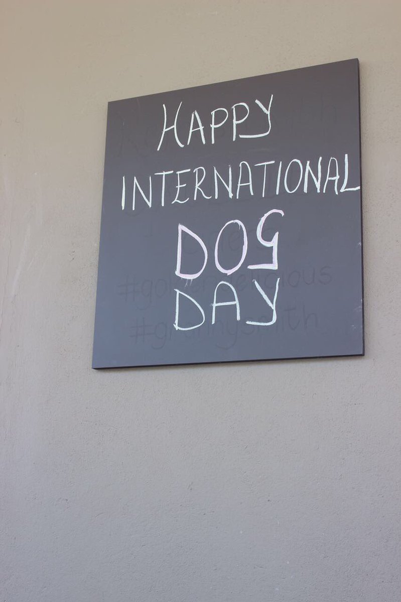 PETLEY'S tweet media