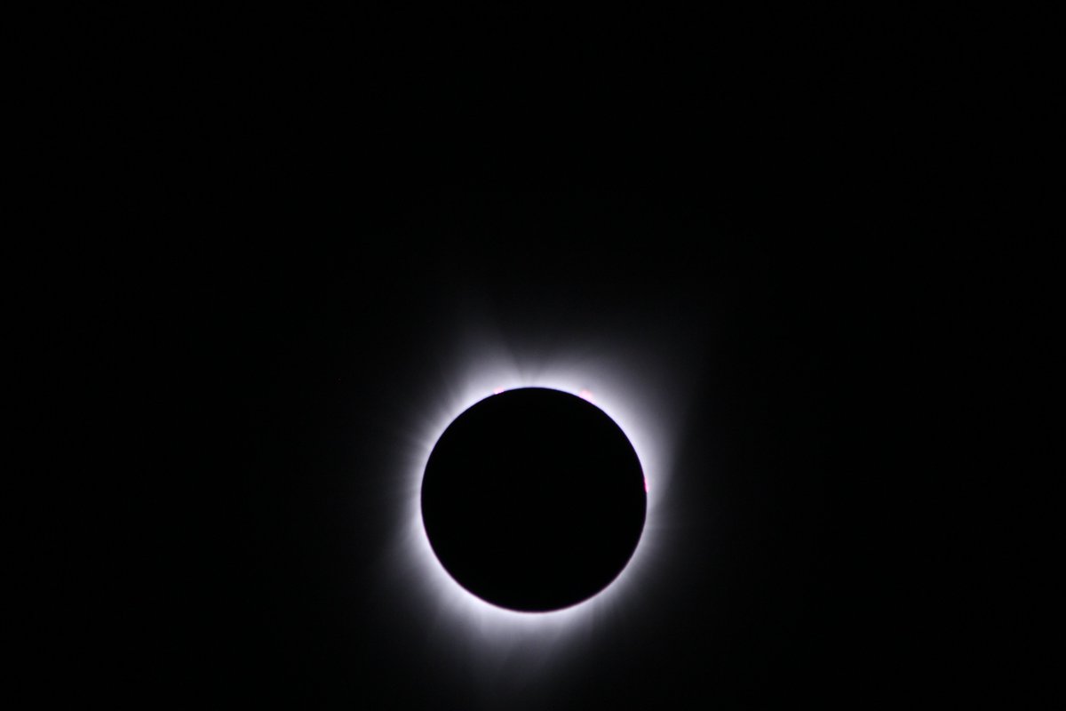 Paulbacca's tweet image. Photo #3 total eclipse with small corona and prominence #Eclipse2017 #stargazing #Astrophotography #astronomy