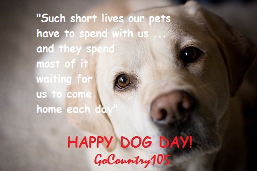 GoCountry105's tweet photo. Happy DOG DAY! -Laurie #reasontofeelgood https://t.co/XxsaEILGdt
