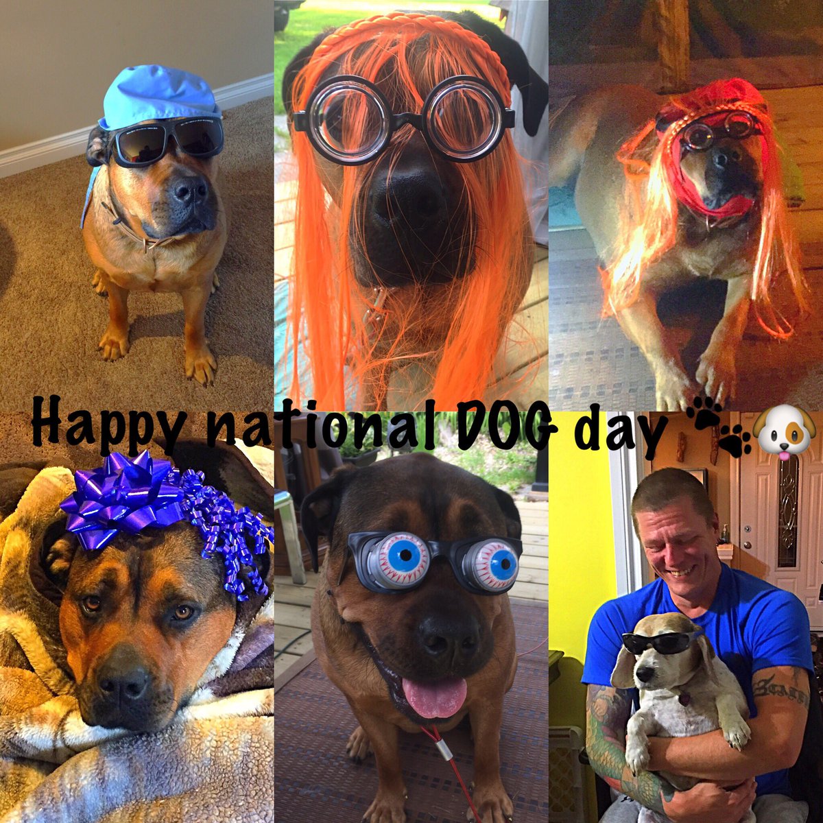 da_zori's tweet photo. #internationaldogday #love #Dog https://t.co/tVkokkYOO9