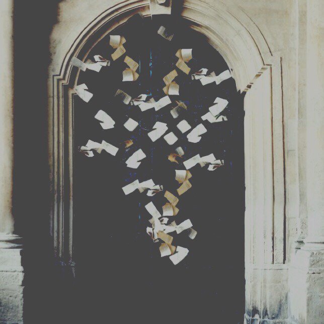 SE BUSCA:

             Emmeline Vance

* 17/18 años
* ExRavenclaw

               Su compromiso con la causa no se puede dudar.

¿RT?