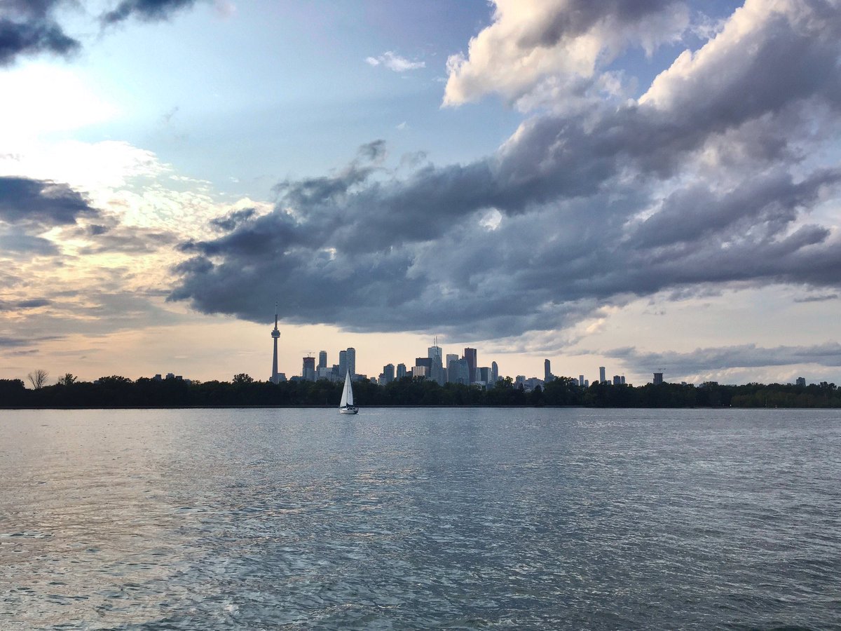 rana aluraibi tweet media