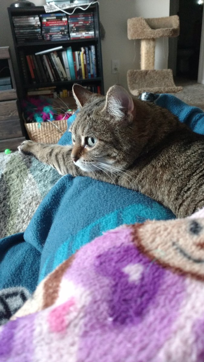 TheeAllieCat's tweet photo. I love momma! https://t.co/0sqxAL2cUM
