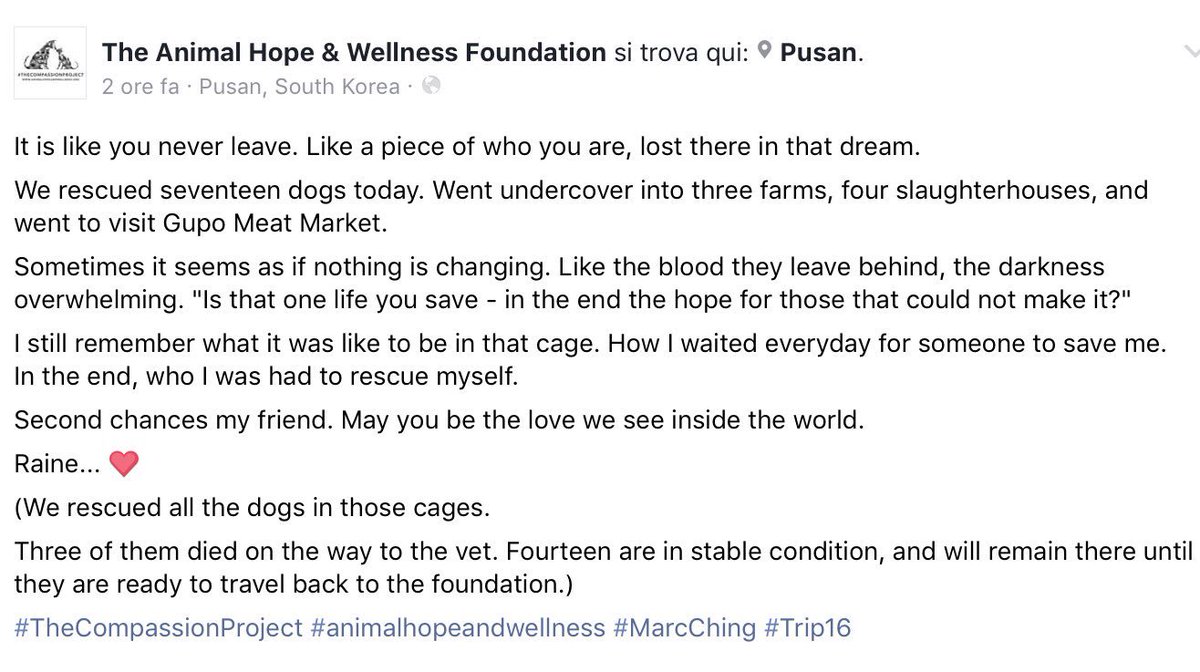 GretaAstpc's tweet photo. #Trip16 Raine 🐶🐾❤️1/17 saved from slaughterhouses #SouthKorea by #MarcChing
rescued all the #dogs in the cages 🙏https://t.co/g57g8Rj30M https://t.co/vraUftbULU