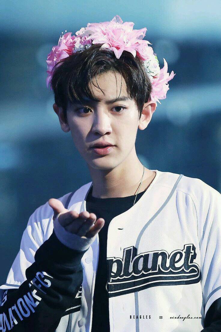 kysnsf's tweet photo. Wtf. Maybe this account will be off. Thanks all~ have a nice day! 
Last pict from Cy~ (Anyway whtever if you wanna unfoll this account.TT❤❤) https://t.co/eQfbsvZ2tC