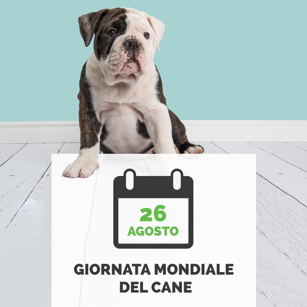 TuPassi_it's tweet photo. Cercate il #veterinario più vicino e prenotate con #TUPASSI un appuntamento per il vostro amico a quattro zampe! https://t.co/2b8OjEmo1q https://t.co/GHKnqA7yvX