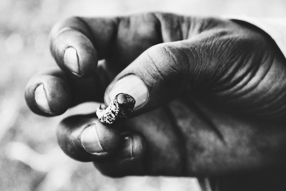 MotseBotswana's tweet photo. A Mopane Worm, often dried and eaten as a snack #tasty #wildlife https://t.co/TlHYRYLGIv