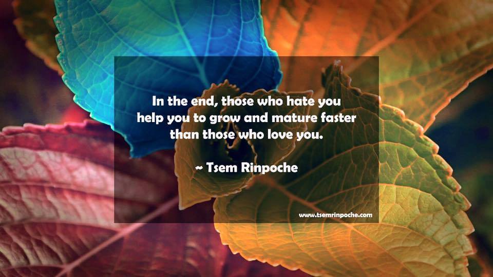 mok_leng's tweet photo. #TsemRinpoche #Buddhism #Buddha #wisdom #compassion #love #teaching #Mindfulness #blessed 
https://t.co/pmvzgTRxYh @tsemtulku https://t.co/eDdw3M9s52