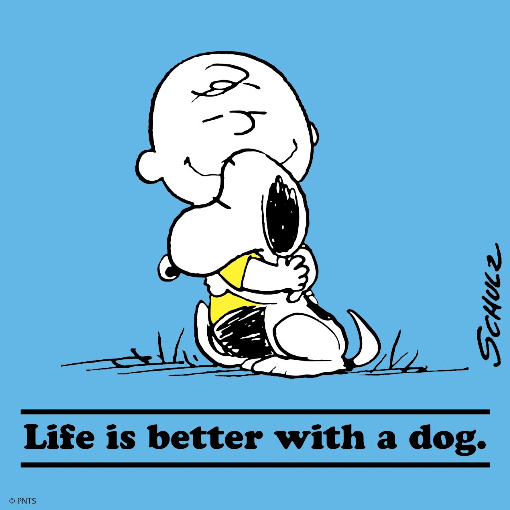 Snoopy's tweet photo. Happy #NationalDogDay! 🐶 https://t.co/Jbdo78oFNu