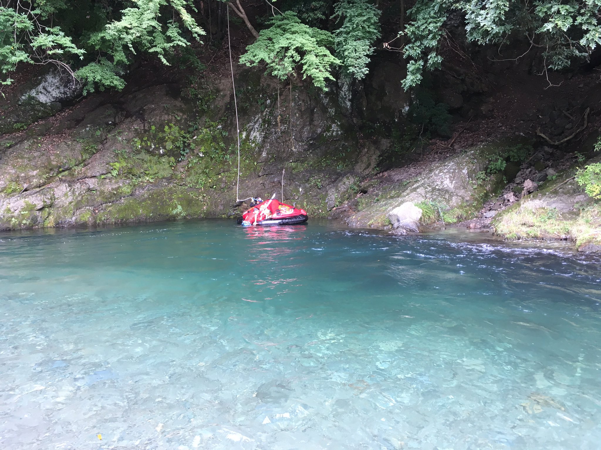 Rie A Twitter お誕生日お祝いで 川遊びがしたい とリクエスト 山梨県の道志村にやってきました 透明度が高く 鮎や岩魚が生息する清流として有名な道志川 浅瀬は透明 深いところはエメラルドグリーンで素晴らしいコントラスト こんなに泳ぎたくなる川