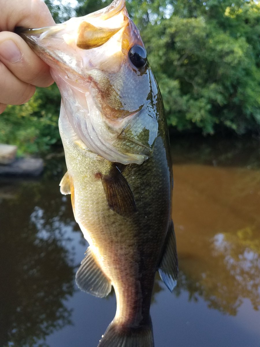 David Giugno (@dgiugno) on Twitter photo 