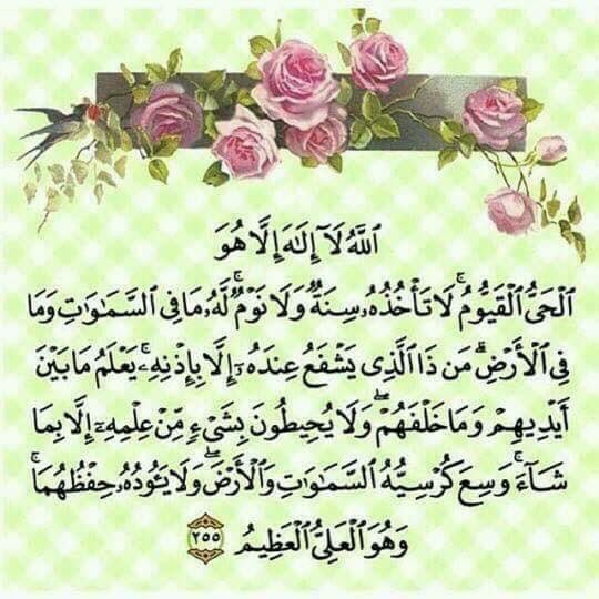 nadaaelbarbary's tweet photo. اللي عينيه هتقرأ أيات القرآن دي بسببك صدقني هتتفاجئ بإذن الله يوم القيامة بجبال حسنات .. وفي الدُنيا بشلال أمنيات متحققة .. بإذن الله 💛🌸 https://t.co/pT4W7eb9EJ