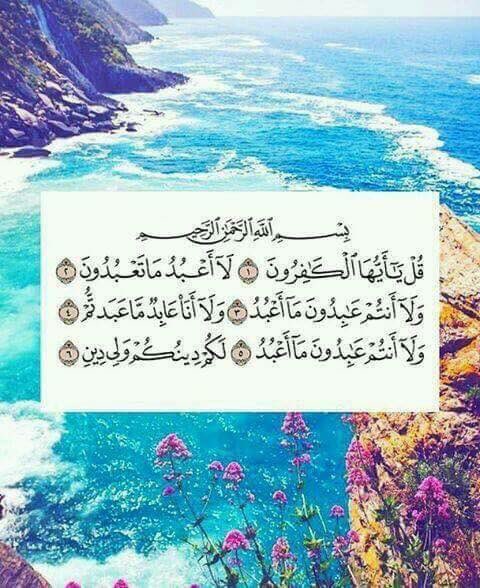 nadaaelbarbary's tweet photo. اللي عينيه هتقرأ أيات القرآن دي بسببك صدقني هتتفاجئ بإذن الله يوم القيامة بجبال حسنات .. وفي الدُنيا بشلال أمنيات متحققة .. بإذن الله 💛🌸 https://t.co/pT4W7eb9EJ