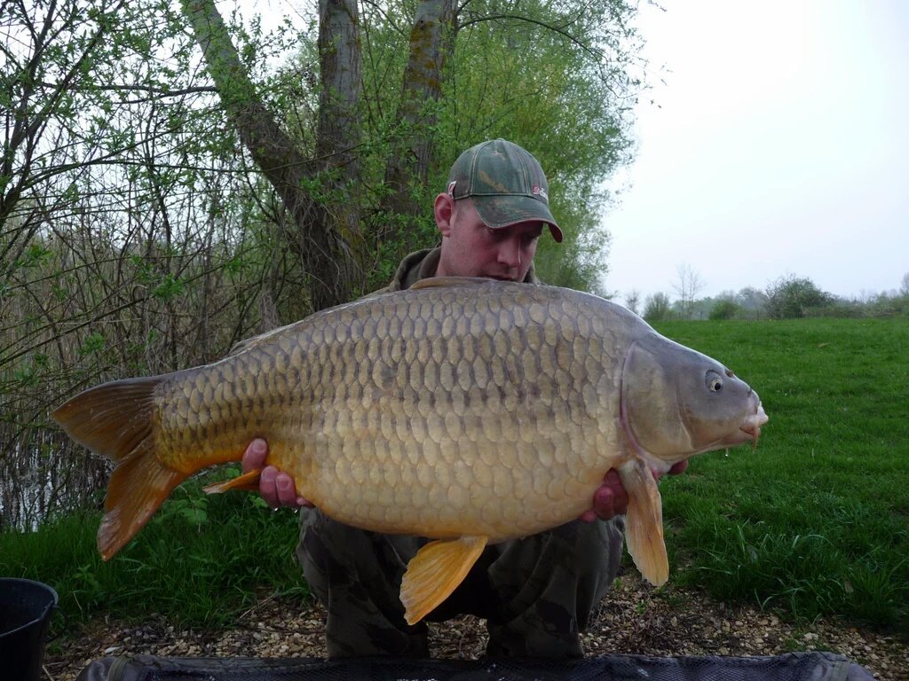 Bigmat66Smith's tweet photo. @TheAnglingBible  https://t.co/oQPyTDNrHR