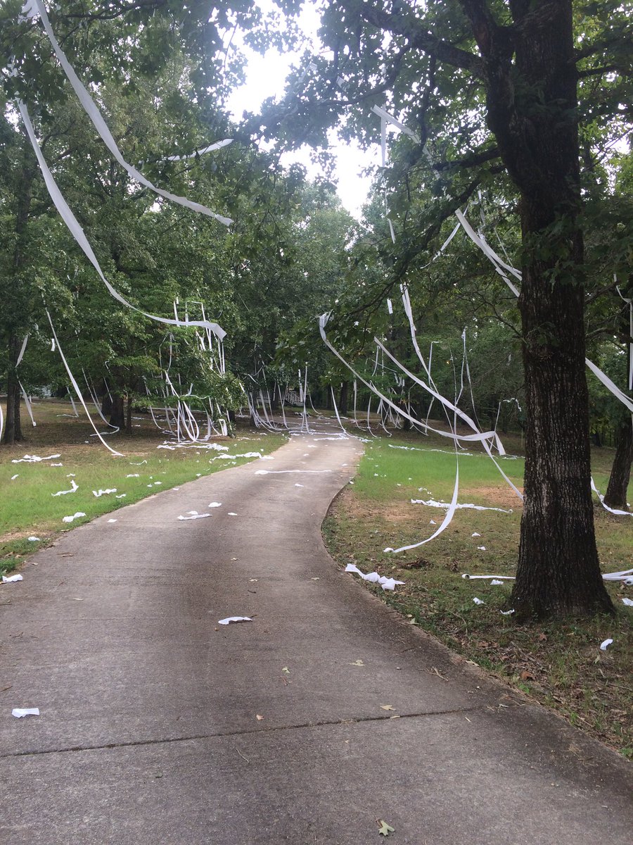 CoachMcKeller's tweet photo. In the future, Mrs. McKeller prefers 2 ply..
#BroughtTheSting https://t.co/OQBrMj2N4o