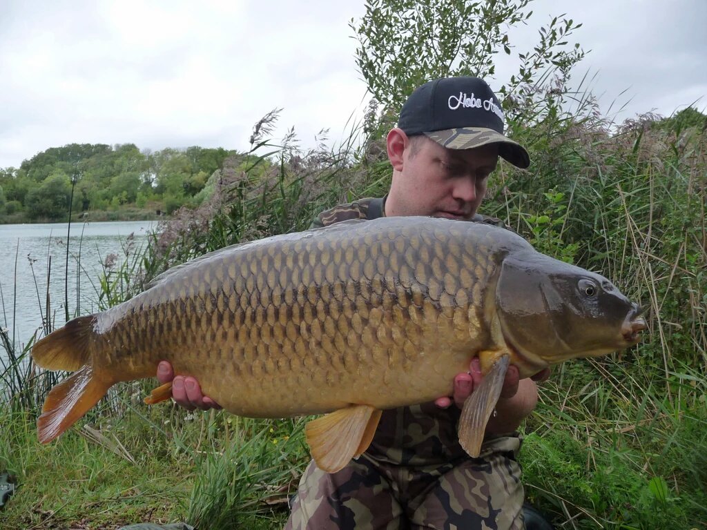 Bigmat66Smith's tweet photo. @TheAnglingBible  https://t.co/BMDLtTLbI8