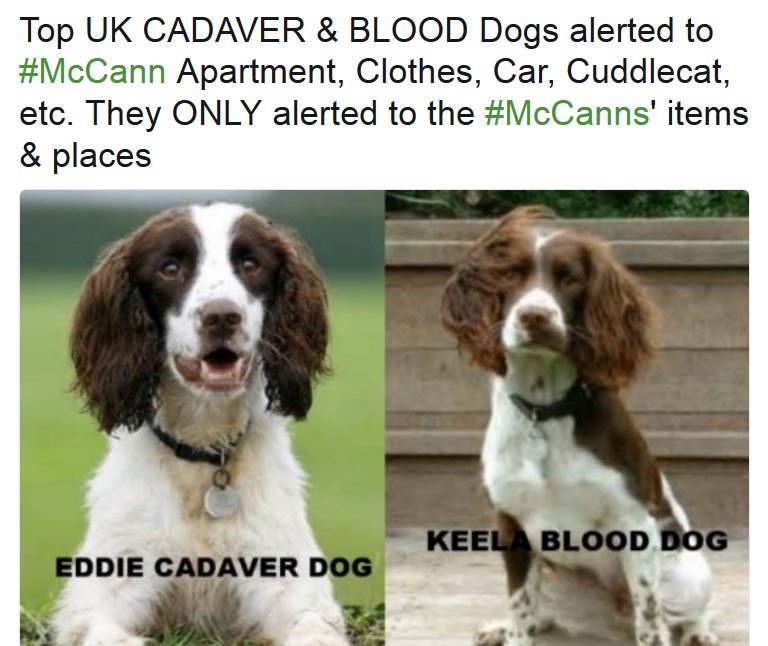 JillyCL ☮️ 💙 🌱🍉 tweet media