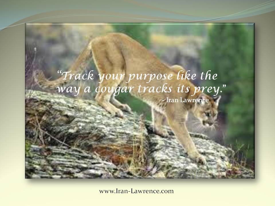 IranLawrence's tweet photo. Track your #purpose like a #cougar tracks its #prey. https://t.co/yiZr2P7PCk