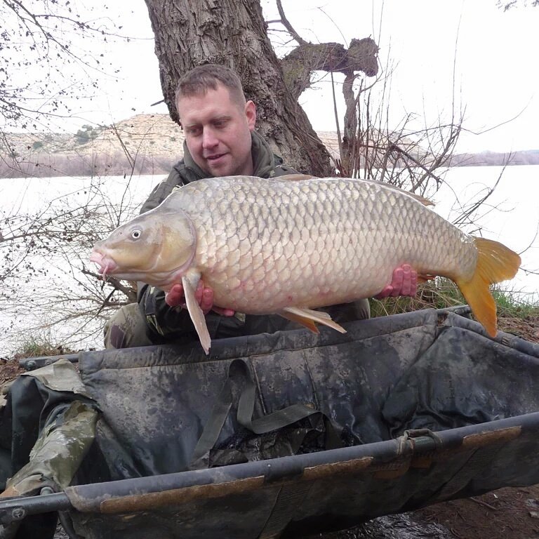Bigmat66Smith's tweet photo. @TheAnglingBible  https://t.co/3c6bf6u4FZ