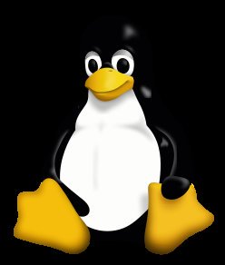maricruzp_'s tweet photo. Felicidades, pingüinito. #LinuxRulez https://t.co/DPABj9m0zF