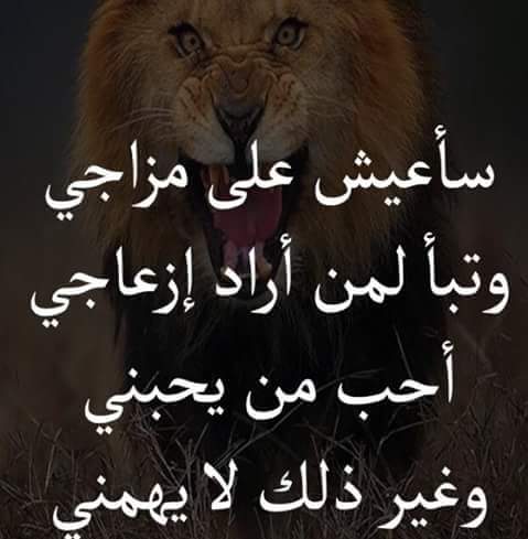 EmSalah1's tweet photo. Never ever https://t.co/3J7sD42rCo