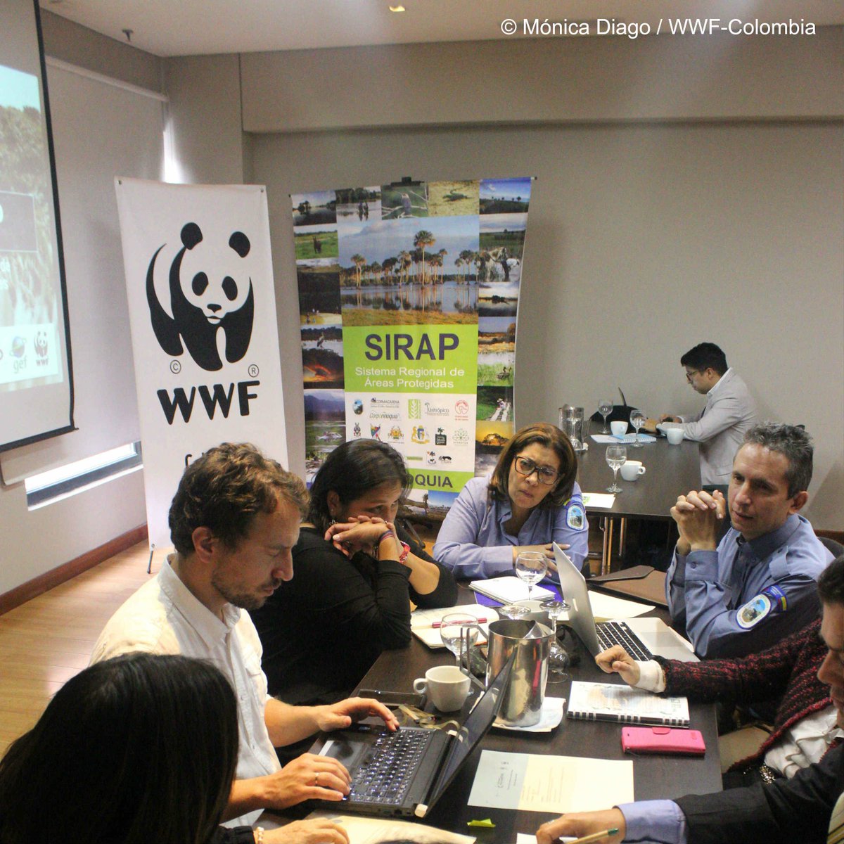 WWFColombia's tweet photo. #Bosques | Empieza el proyecto para consolidar el Sistema Nacional de Áreas Protegidas: GEF-SINAP. Lee el artículo ➡ https://t.co/UC3KdnyAuJ https://t.co/i2aCqGxm0w