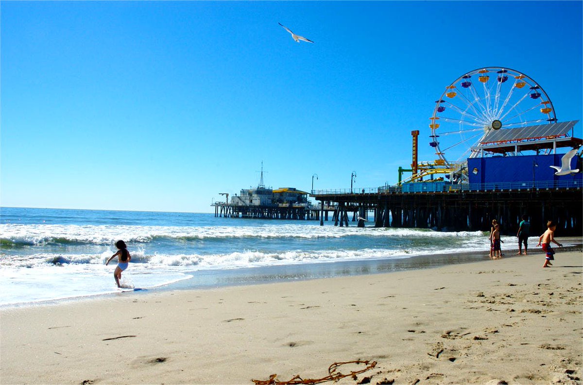 starlinetours's tweet photo. Many say that this is our BEST tour package! See it all with our LA City, Movie Stars’ Homes, &amp; Beach Tour!!!

https://t.co/IkEPfkUn10 https://t.co/Rwsggm7j76