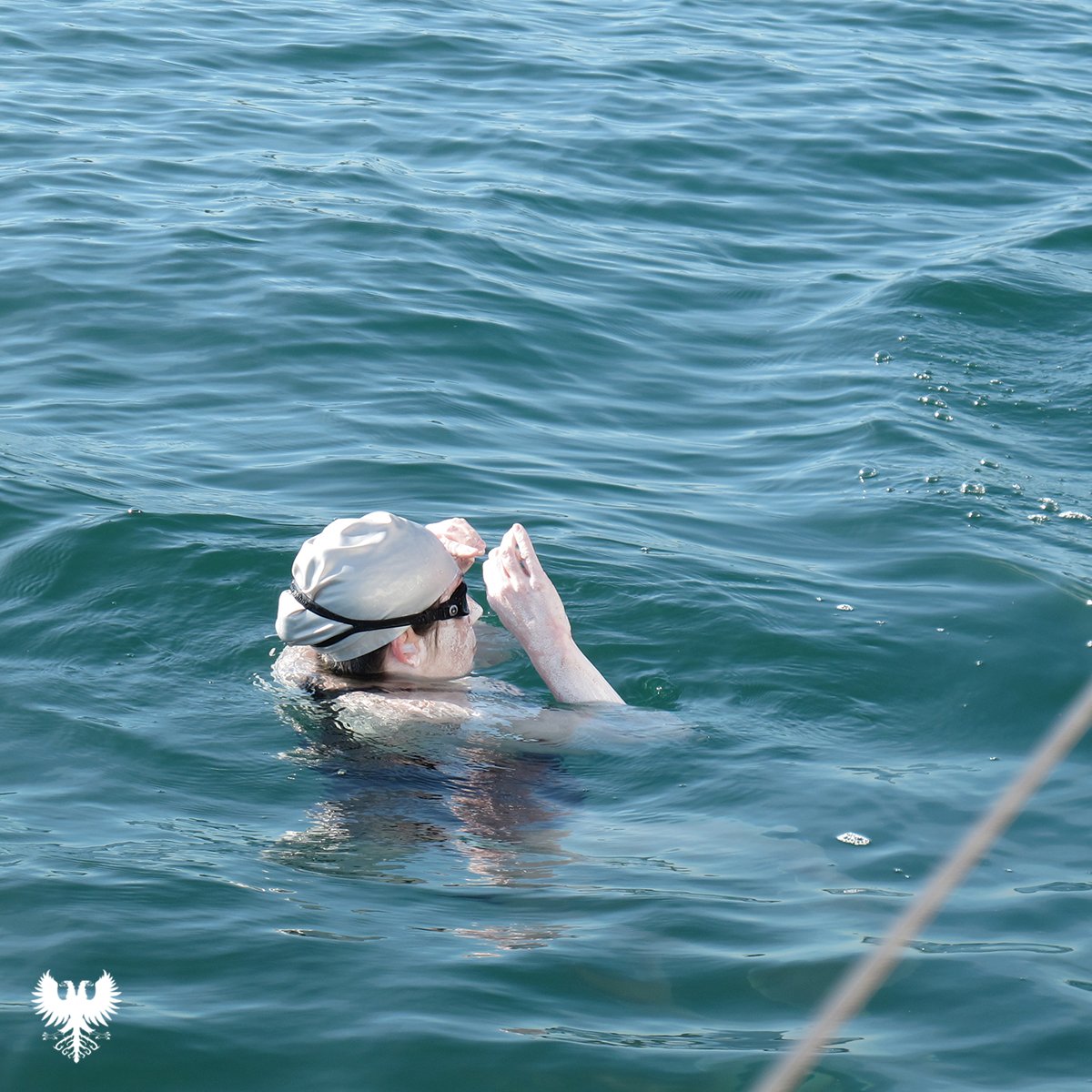 Lake Geneva Swimming Association tweet media