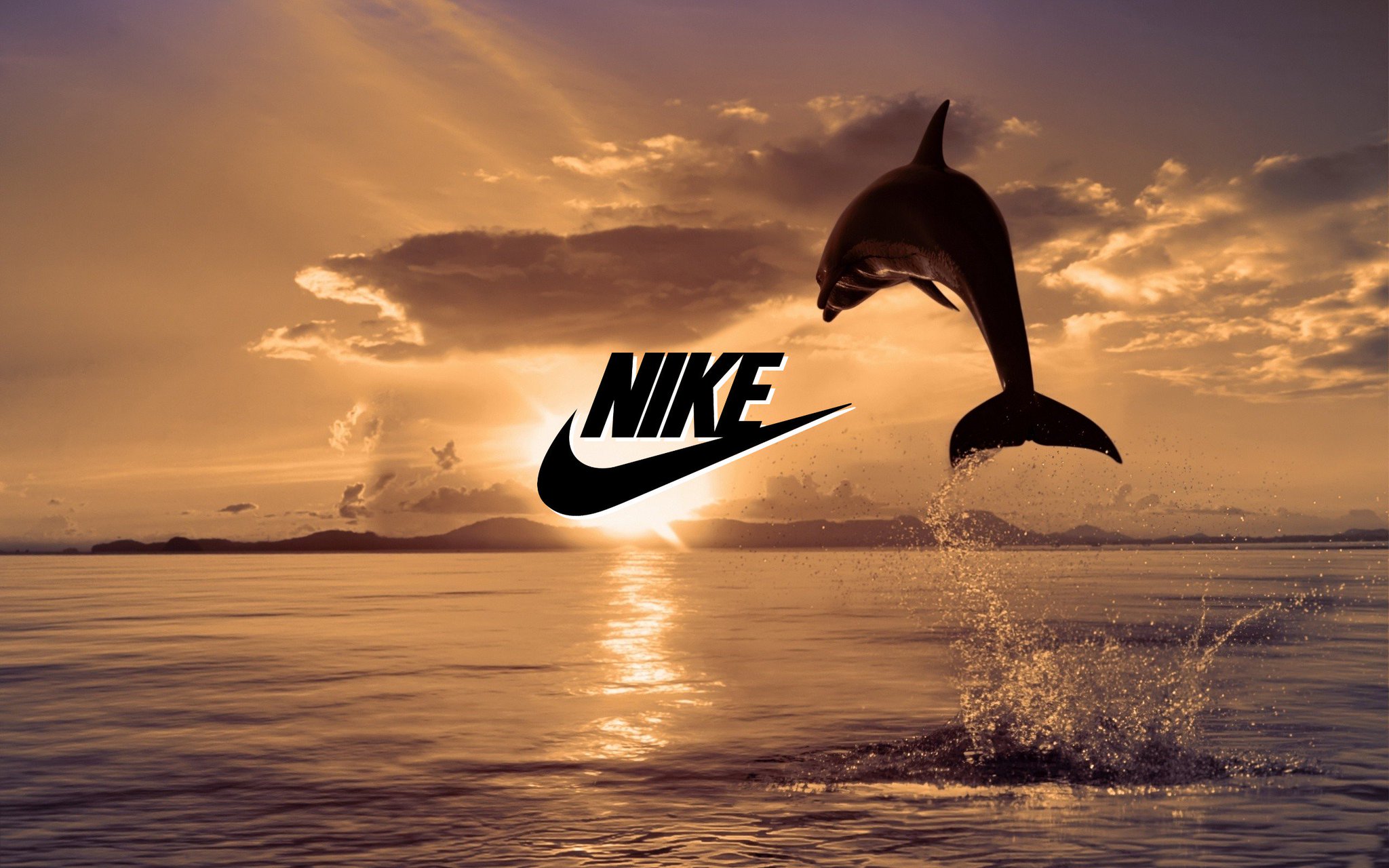 Nike dauphin hot sale