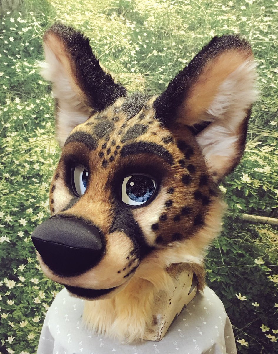 cheetah wolf hybrid