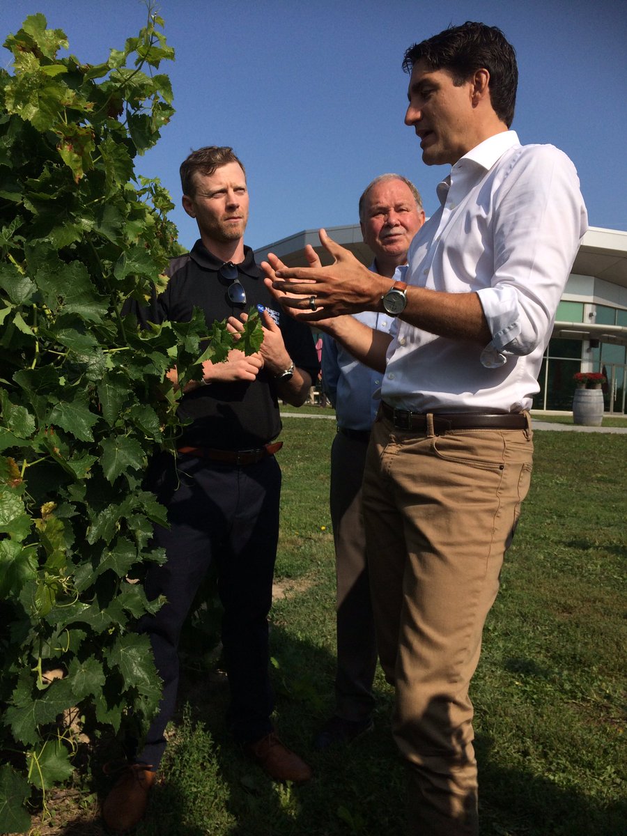 niagaracollege's tweet photo. Gavin from our @NCTWinery talks about our grapes in the vineyard with @JustinTrudeau, who compliments our excellence in #icewine. #myncstory https://t.co/sPiBZLKfM2