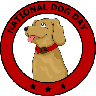DrDanaComan's tweet photo. #HappyNationalDogDay :) https://t.co/uTFLxdmWae