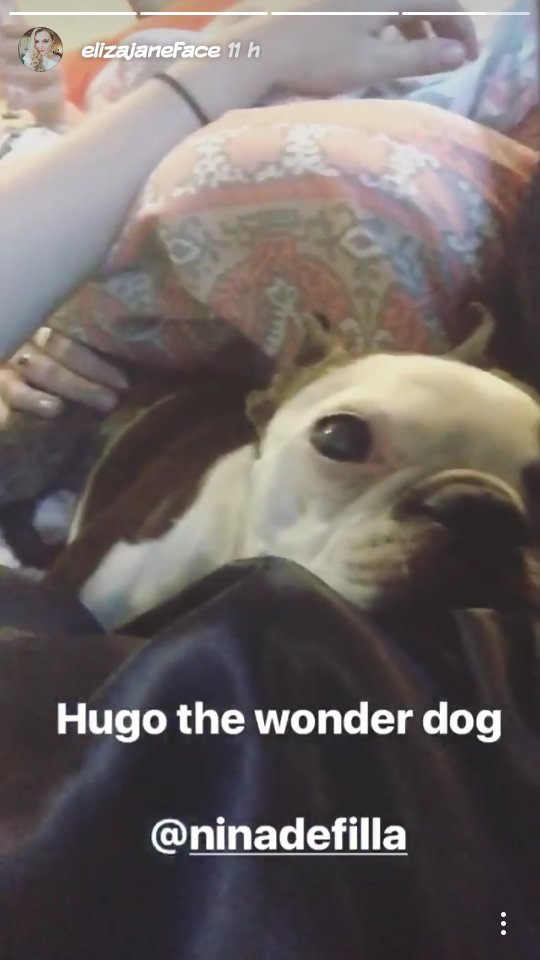 Elizalicious_'s tweet photo. Todos quisieramos ser ese perro que está con EJ xD https://t.co/dGrKWq8bo5