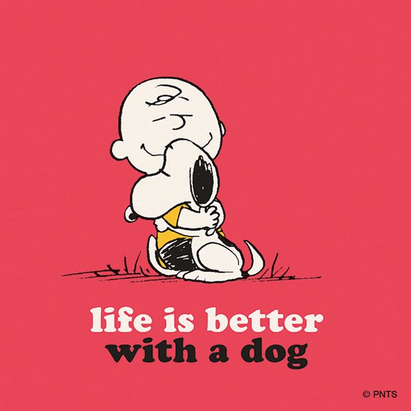 LavishToronto's tweet photo. Happy #NationalDogDay https://t.co/u0K1k4mL4Y