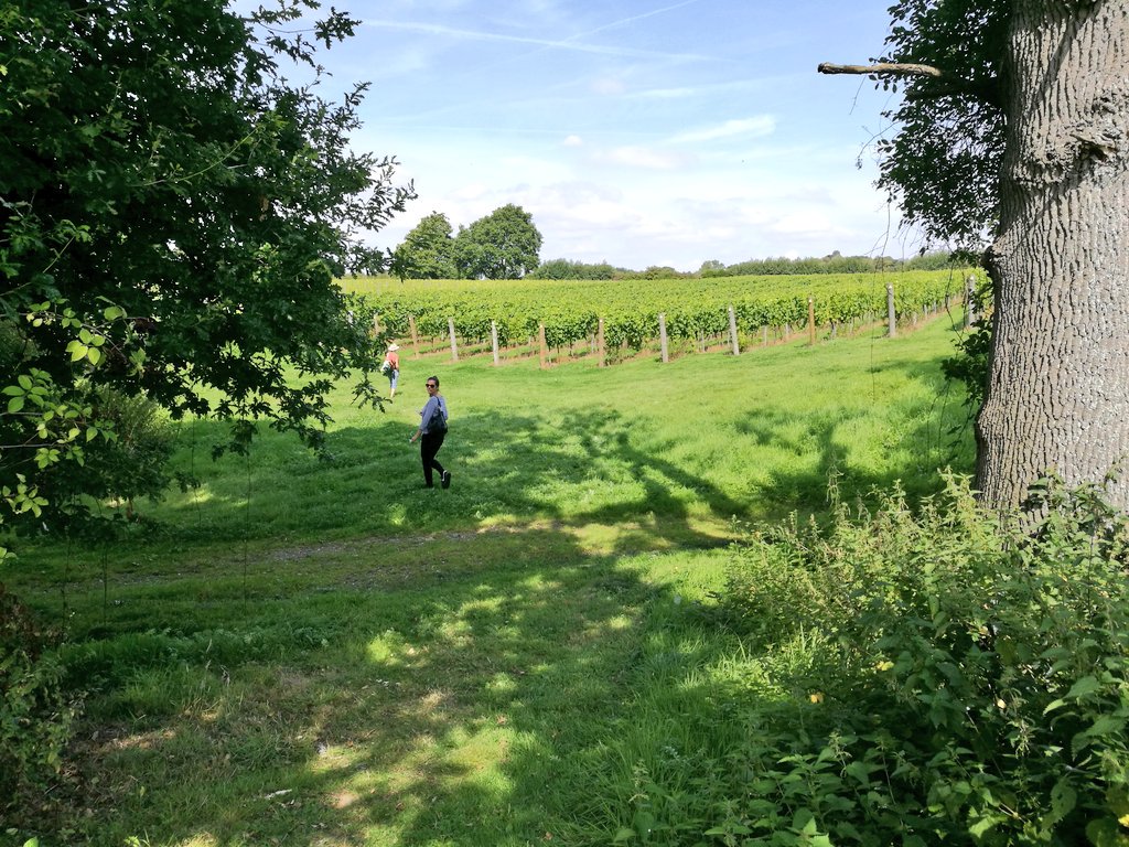 Finally made it to <a href="/ChapelDownWines/">Chapel Down</a> world class English sparkling 🍇🍾