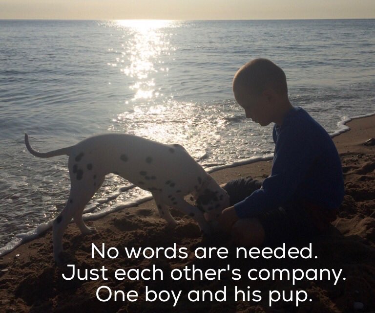 maccybooks's tweet photo. Haiku 🐚🐾
#son #boy #beach #walks #puppy #dog #botanybaybeauts #haiku #micropoetry #haikuphotography #haikuphoto #maccyhaikuphoto #maccybooks https://t.co/LzdNeezt4S